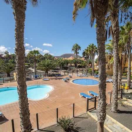 Lightbooking Oasis Royal Corralejo F311 Zewnętrze zdjęcie