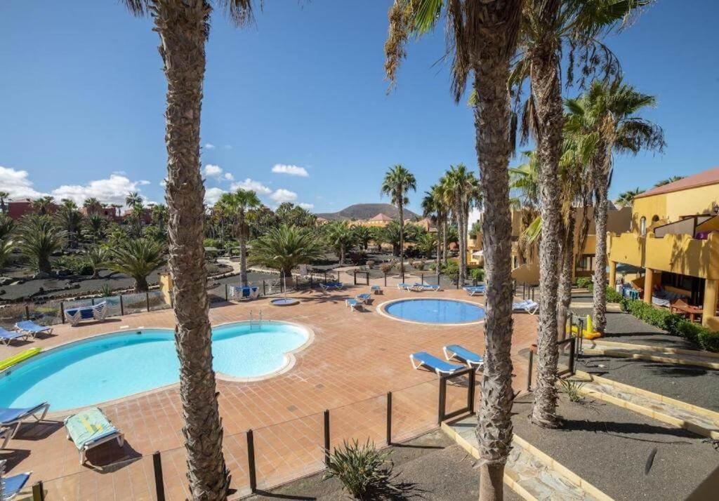 Lightbooking Oasis Royal Corralejo F311 Zewnętrze zdjęcie